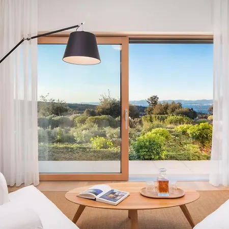 Villa Luxury Bracchia Magic Retreat I With Heated Pool, Sauna And Jacuzzi On Brac Škrip